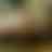 Preview from Fort Worth Zoo Oct 2026