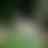 Preview from Fort Worth Zoo Oct 2026