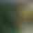 Preview from Fort Worth Zoo Oct 2026