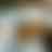 Preview from Fort Worth Zoo Oct 2026