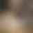 Preview from Fort Worth Zoo Oct 2026