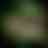 Preview from Fort Worth Zoo Oct 2026