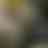 Preview from Fort Worth Zoo Oct 2026